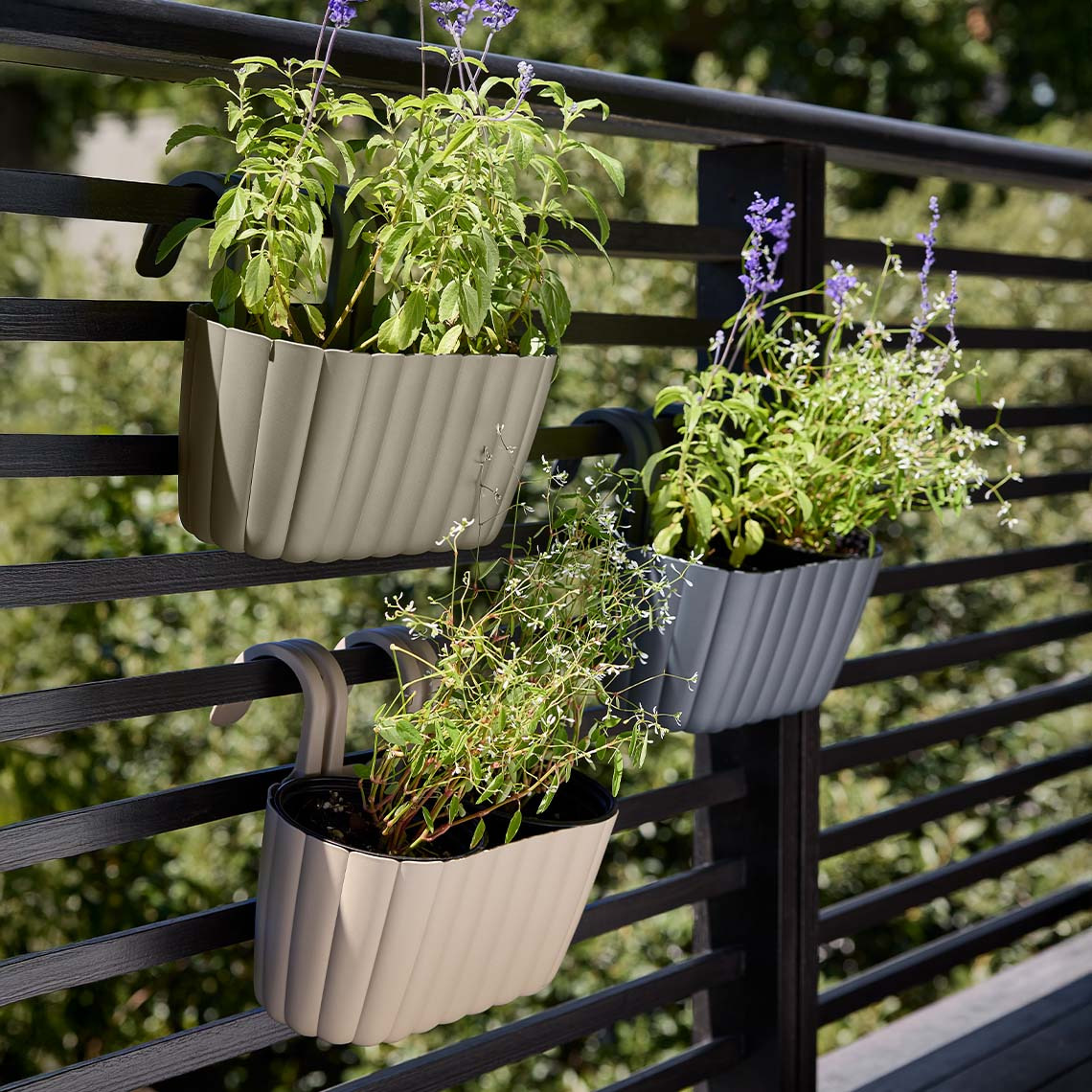 Balcony hanging planter with green plants