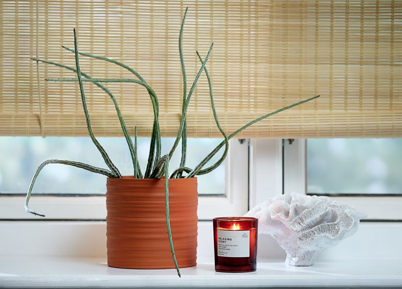small details make big impacts around the home a small candle in coloured glass jar with a terracotta vase and coral ornament