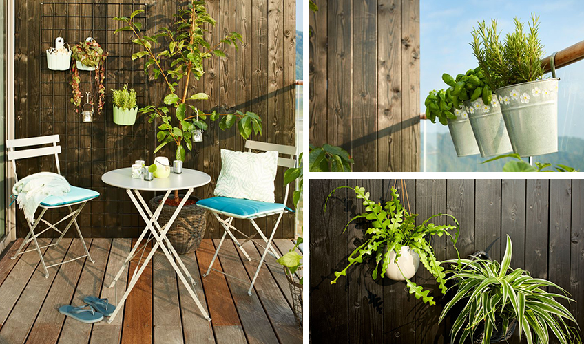 Plants for your balcony from JYSK Plants for your balcony from JYSK